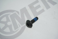 Болт с головкой торкс (N000000002196) для Mercedes Benz