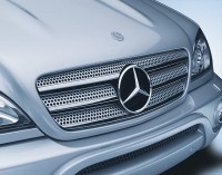 Решетка радиатора (B66880351) для Mercedes Benz